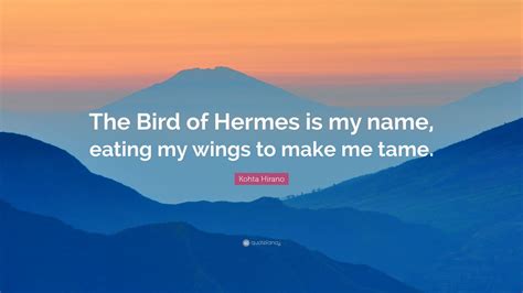 bird of Hermes quote